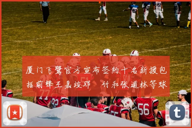 厦门飞鹭官方宣布签约十名新援包括前锋王嘉竣邓棽竹和张道林等球员