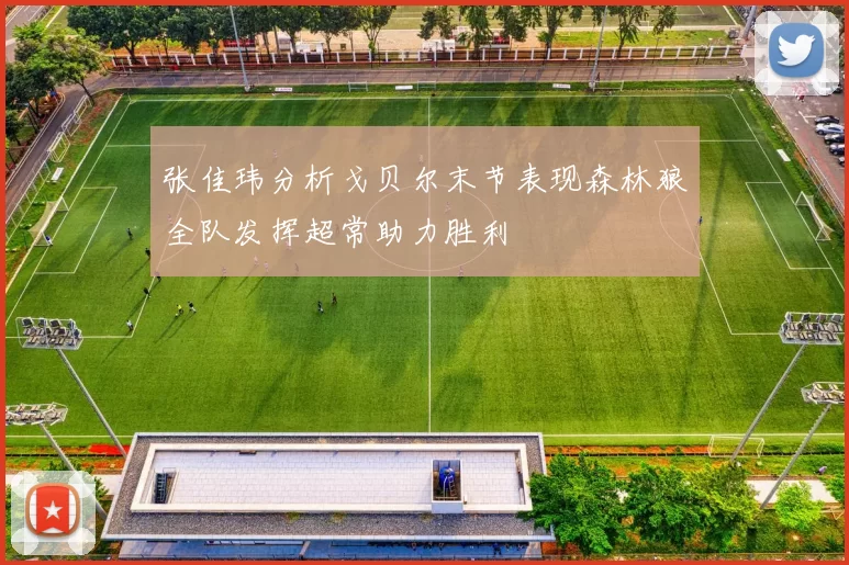 张佳玮分析戈贝尔末节表现森林狼全队发挥超常助力胜利